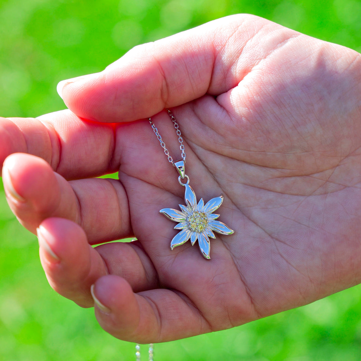 Pacchetto Felpa + Collana Stella Alpina